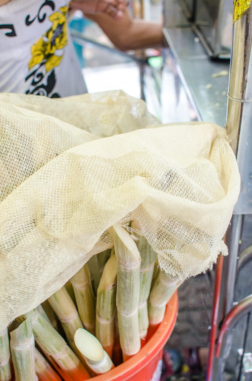 sugar canes, Ho Chi Minh, Vietnam