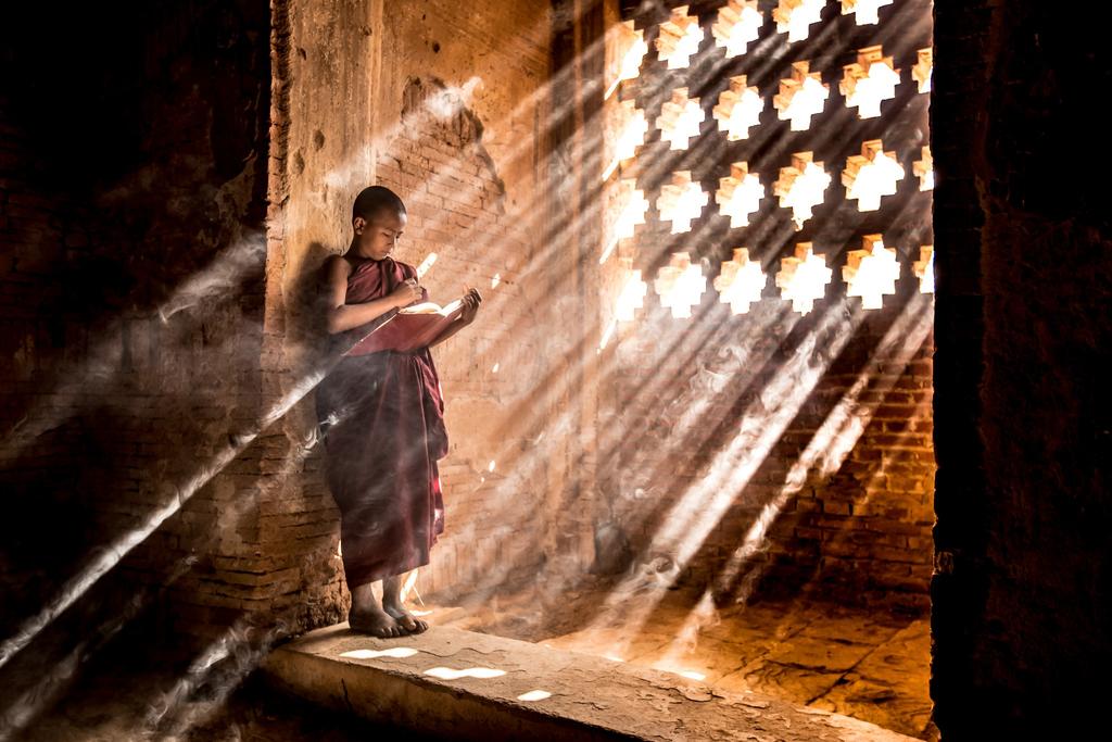 Monk studying, Bagan