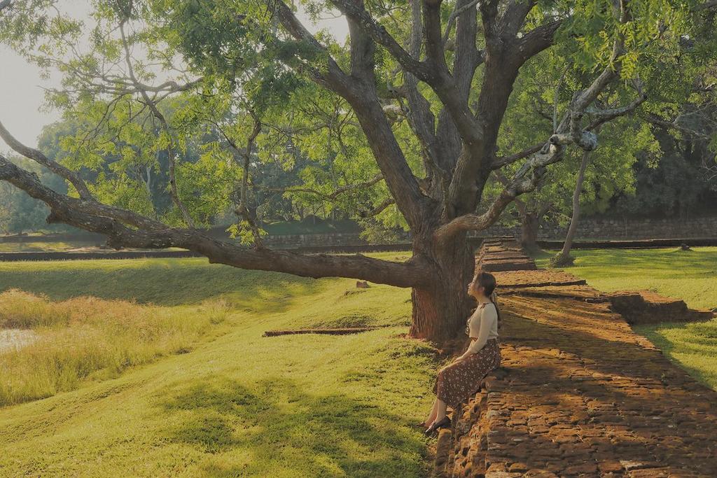 Sigiriya ruins, Sri Lanka