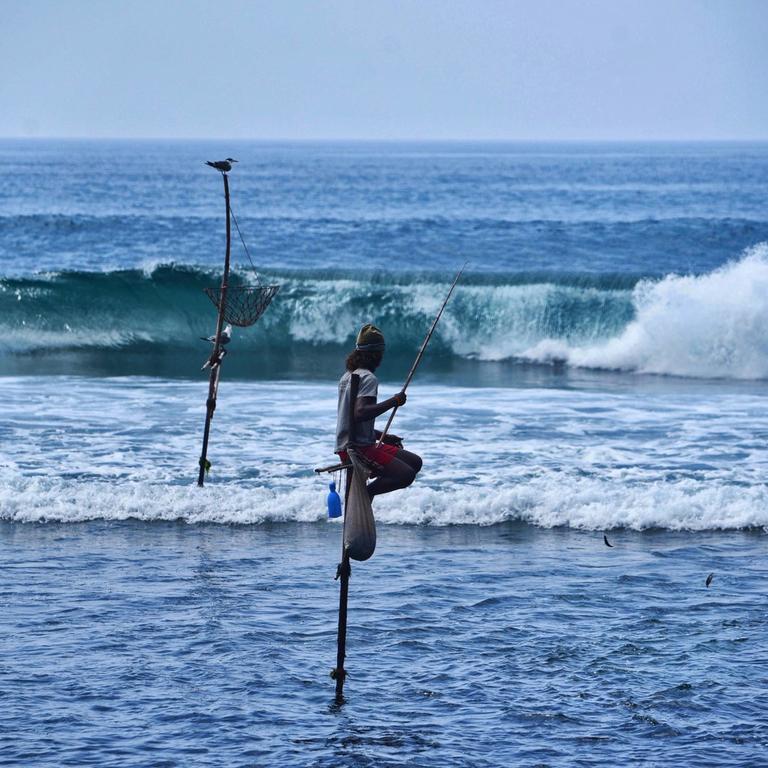 stilt fishing, Sri Lanka
