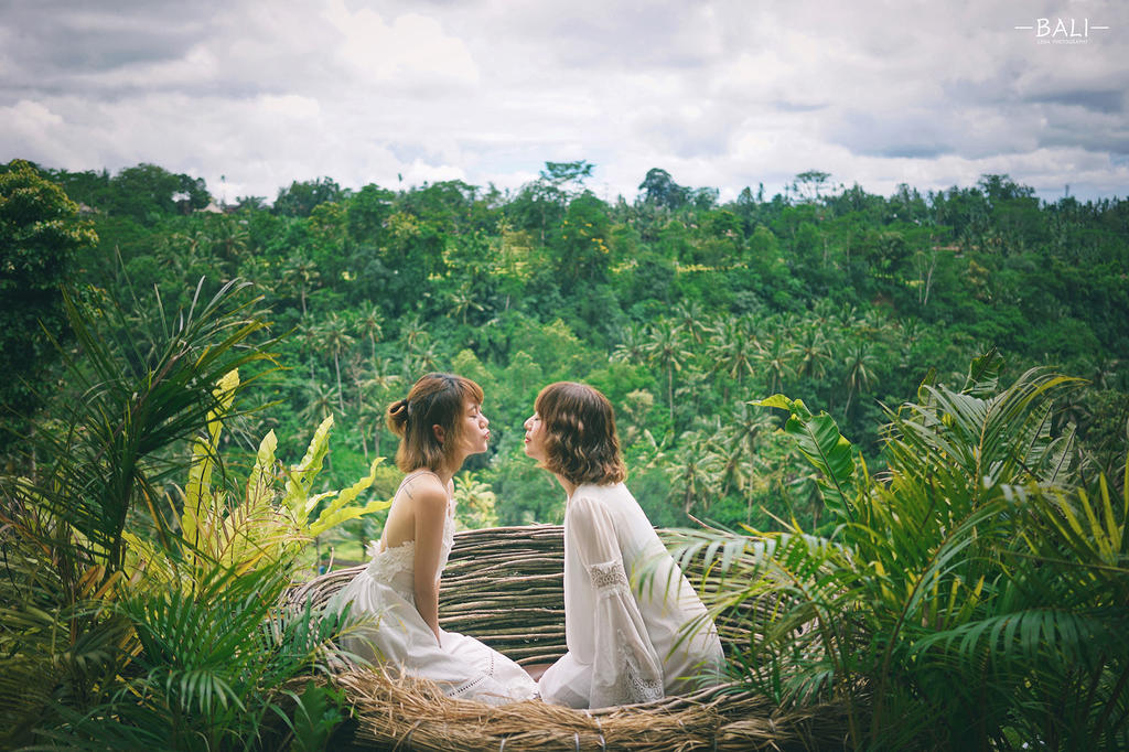 Bird nest, Bali, Indonesia