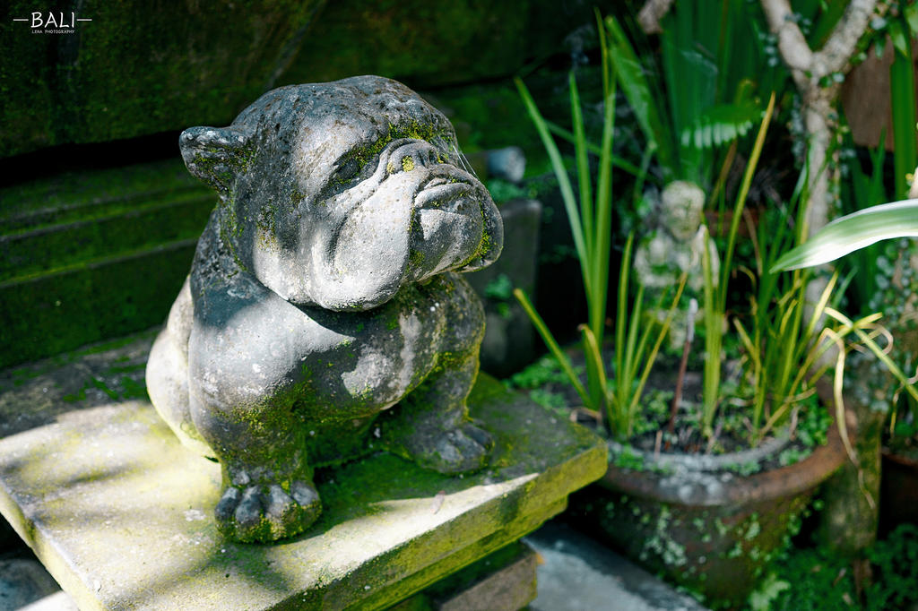 cooking class in Ubud, Bali, Indonesia