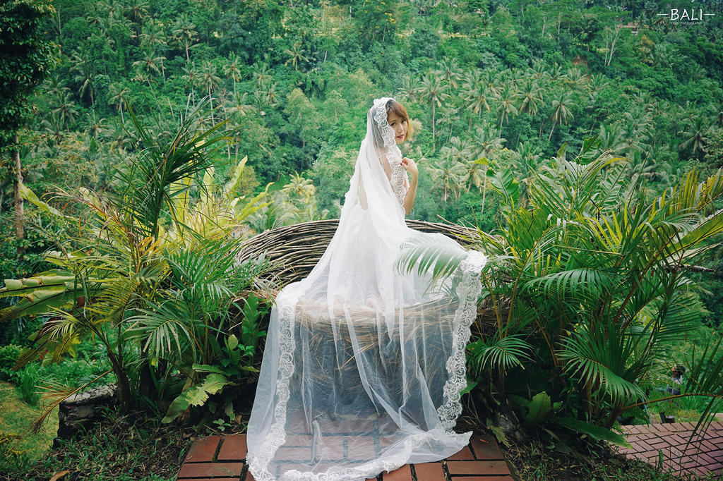 Bird nest, Bali, Indonesia