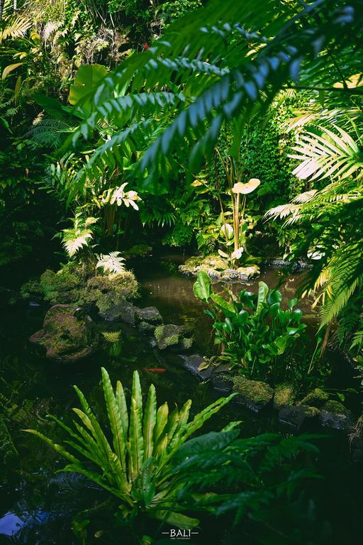 Royal Pita Maha, Bali, Indonesia