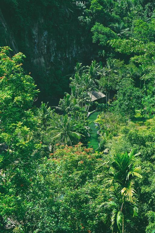 Royal Pita Maha, Bali, Indonesia