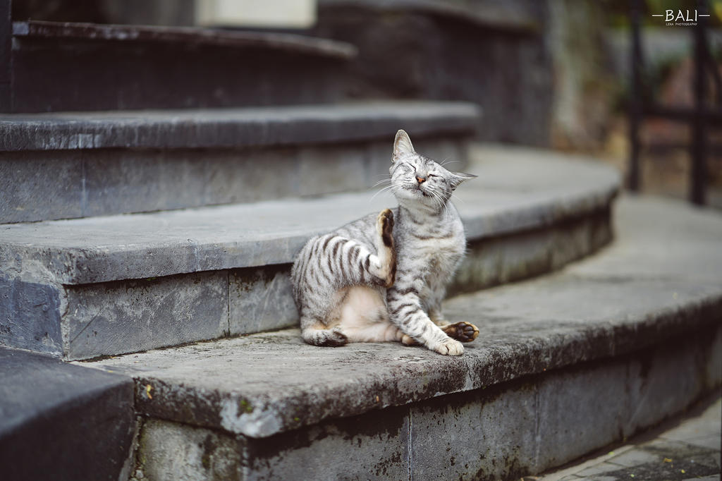 Batur Lake, Bali, Indonesia