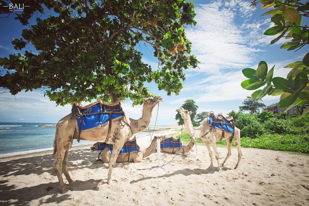 Nusa Dua Beach, Bali, Indonesia