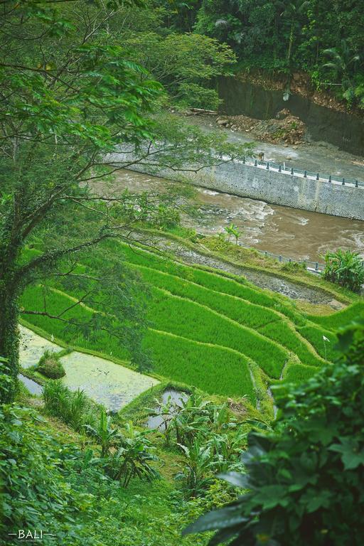 Ubud, Bali, Indonesia
