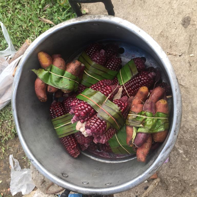 corns, Laos
