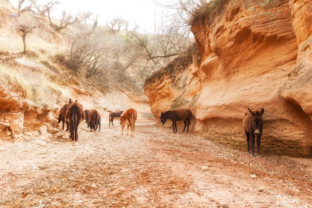 Antelope Canyon of China: Ganquan Yucha Canyon