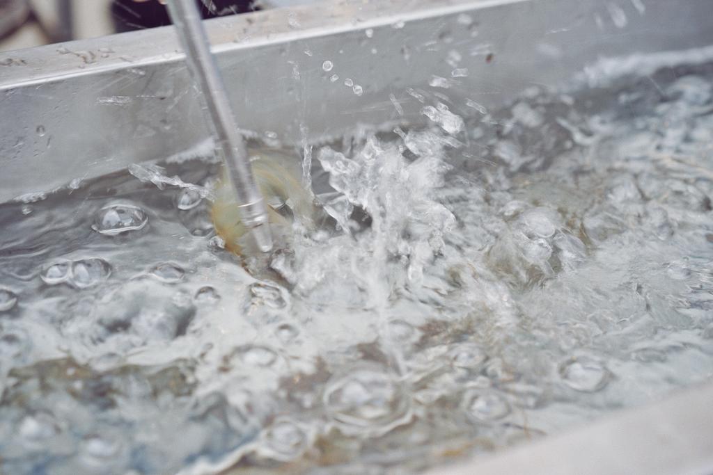 live prawns at Taikong Seafood, Bangkok