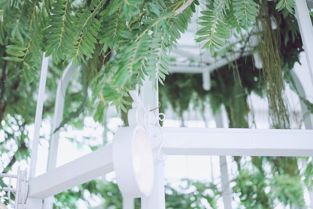 Organkia House, Bangkok