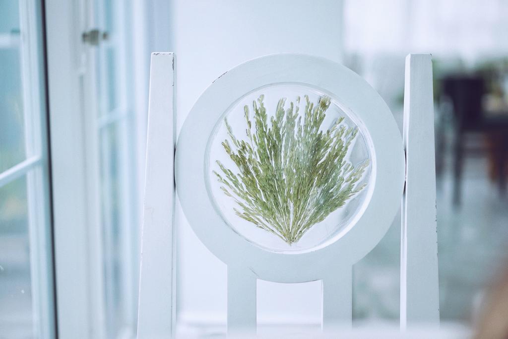 Organkia House, Bangkok