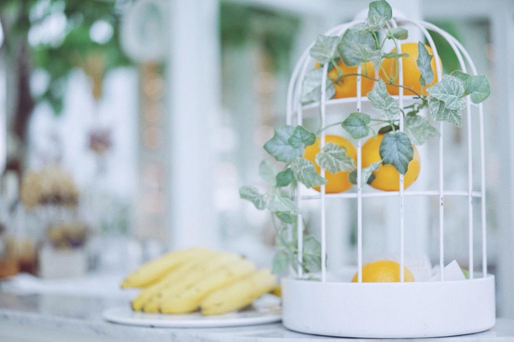 Organkia House, Bangkok