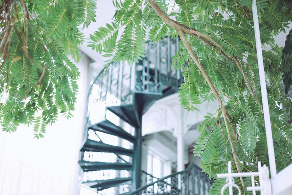 Organika House, Bangkok