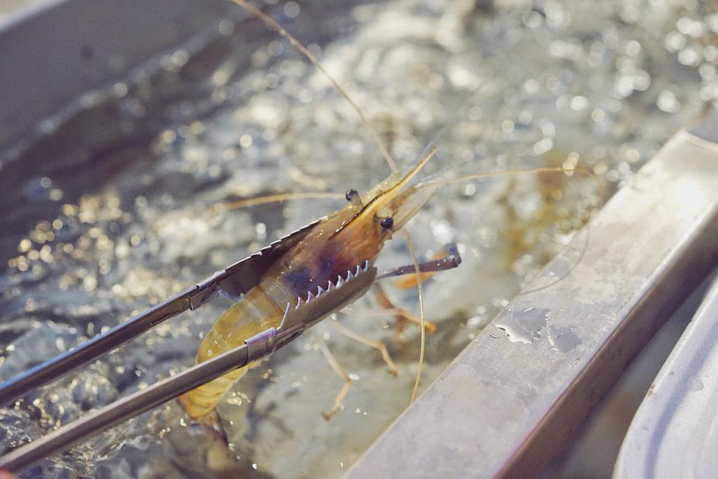 live prawns at Taikong Seafood, Bangkok