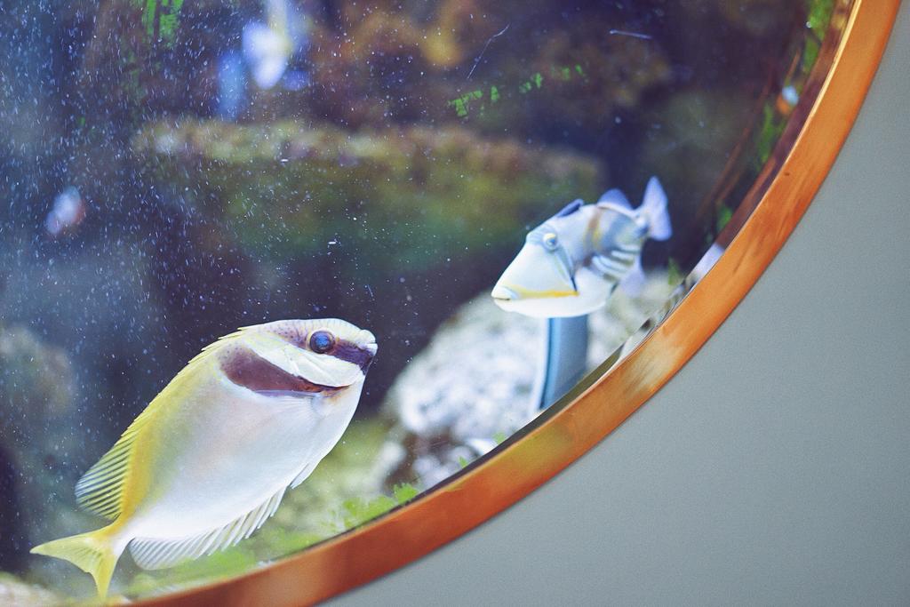 Boyy & Son Cafe, Bangkok