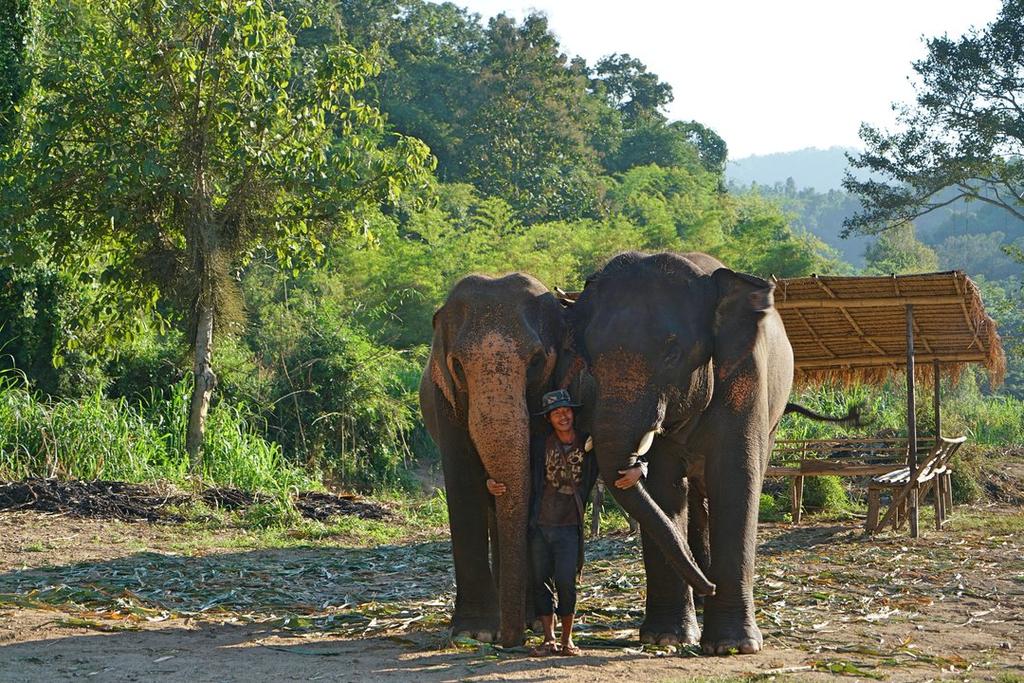 Kerchor Eco Elephant Park, Chiang Mai, Thailand