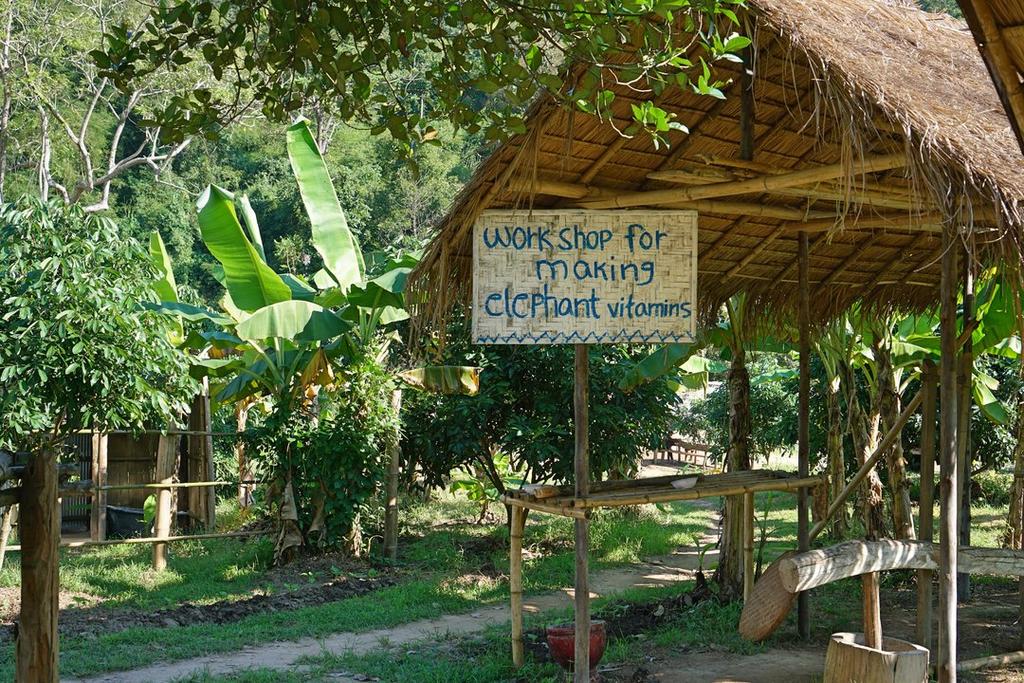 Kerchor Eco Elephant Park, Chiang Mai, Thailand