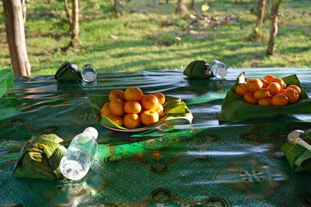 Kerchor Eco Elephant Park, Chiang Mai, Thailand