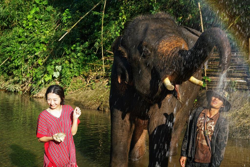 Kerchor Eco Elephant Park, Chiang Mai, Thailand