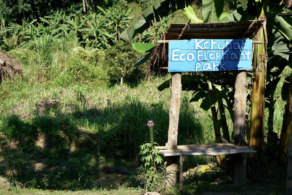 Kerchor Eco Elephant Park, Chiang Mai, Thailand