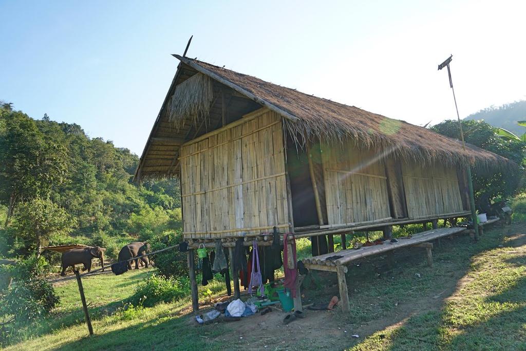 Kerchor Eco Elephant Park, Chiang Mai, Thailand