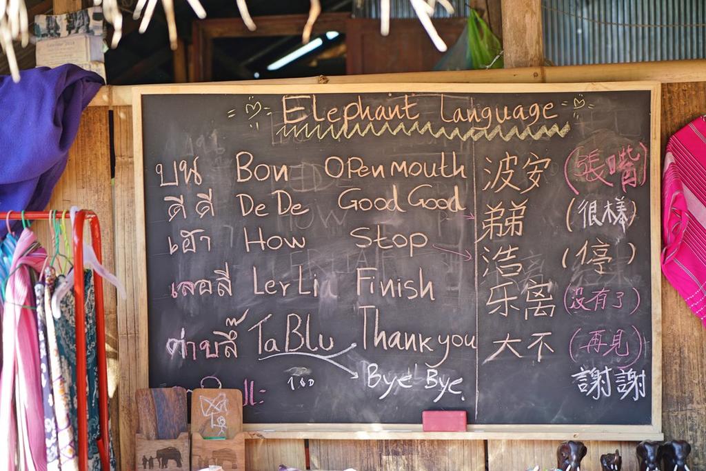 Kerchor Eco Elephant Park, Chiang Mai, Thailand