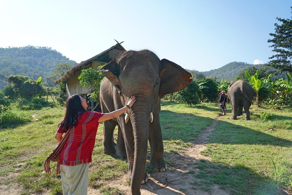 Kerchor Eco Elephant Park, Chiang Mai, Thailand