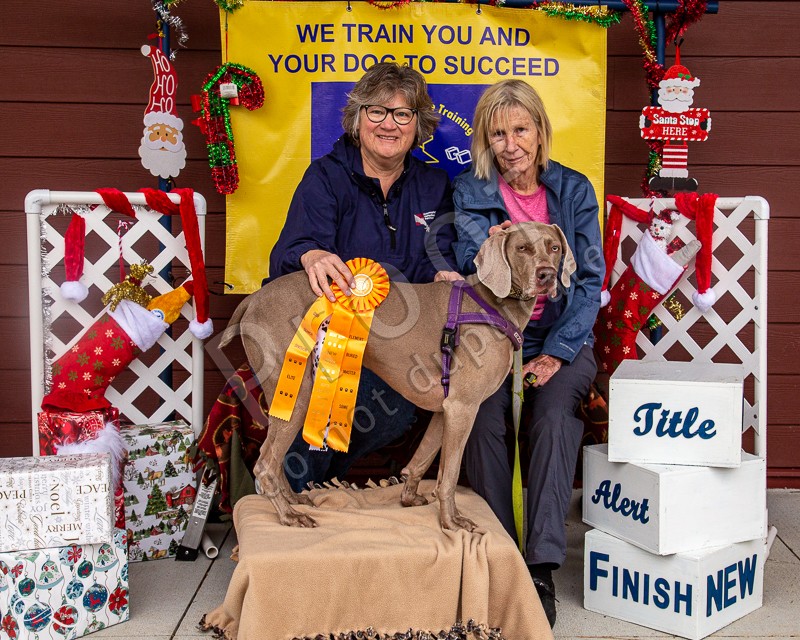 HROTC AKC Scent Work November 2022