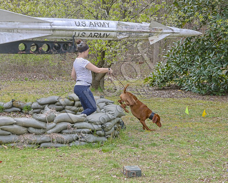 CDPC Scent Work April 2024 Master Exterior T1