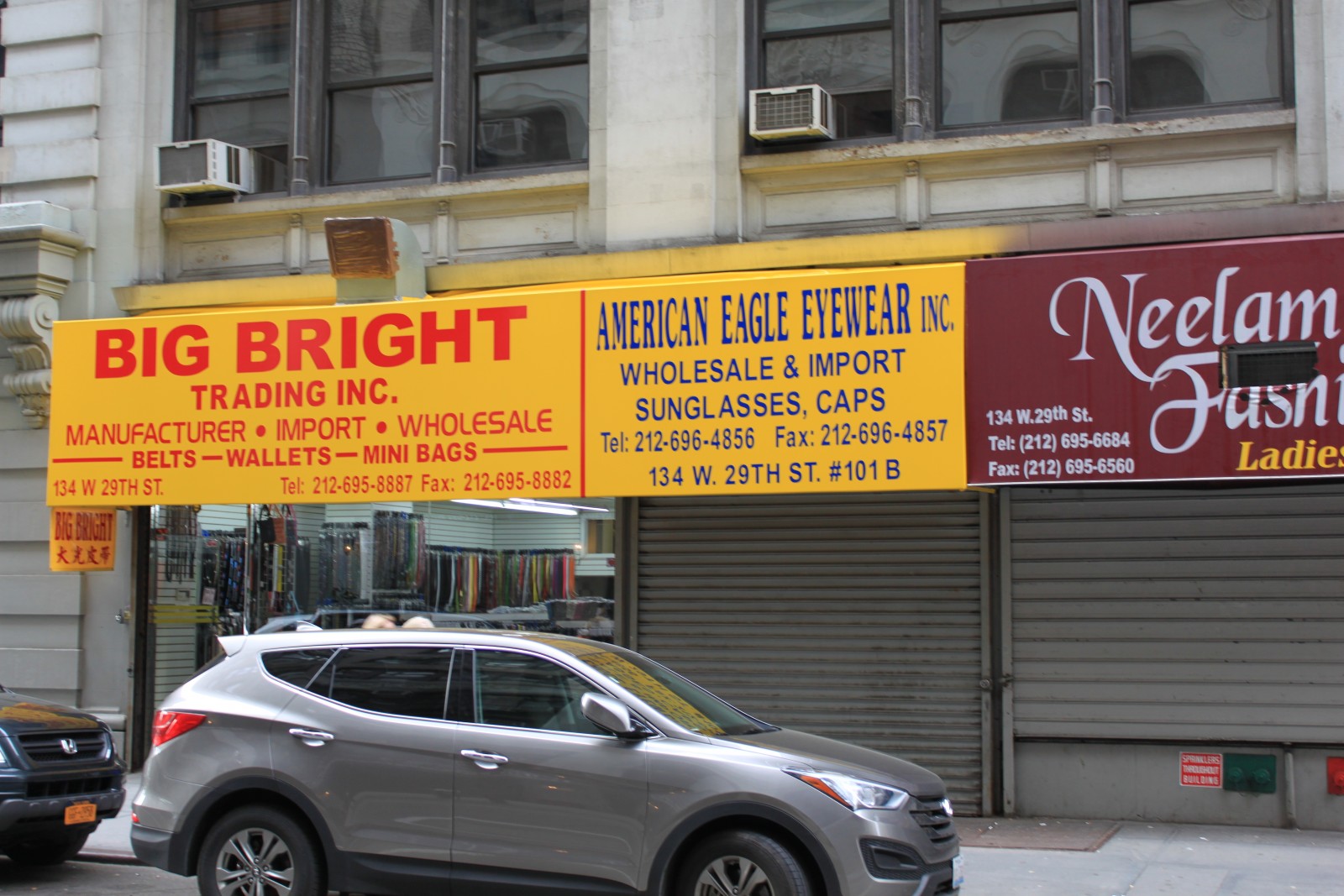 american eagle eyewear inc