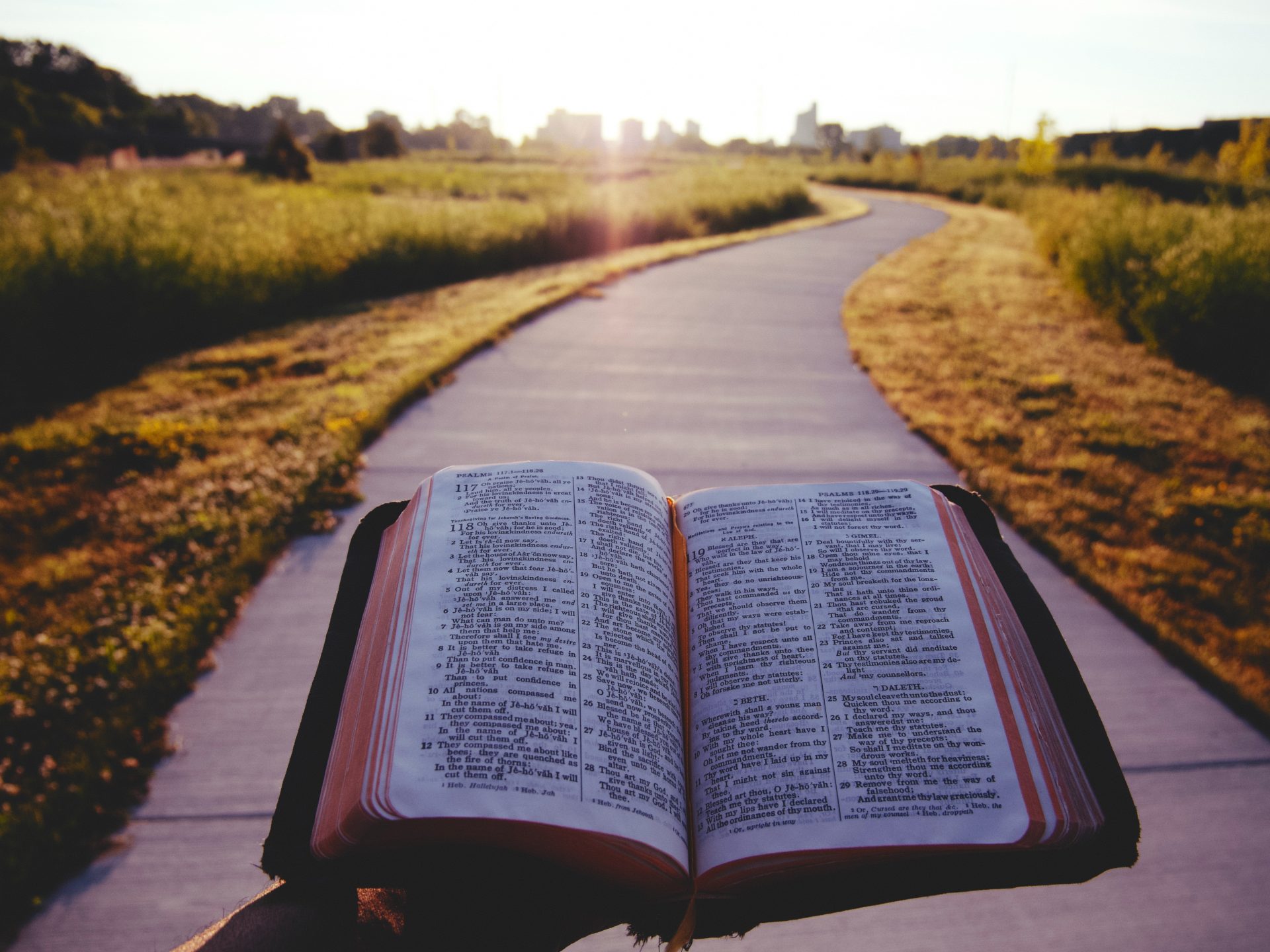 Psalm 119:113-120 