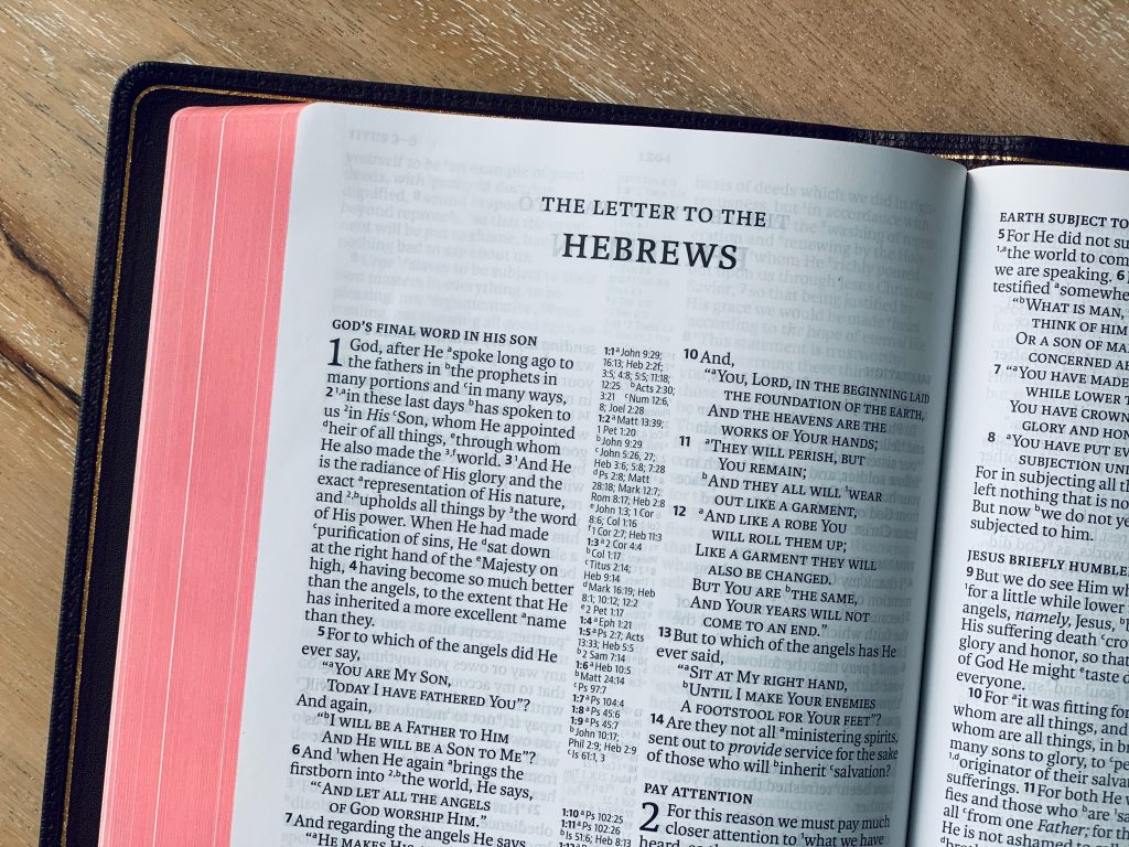 A Sermon on Hebrews 12:3-17