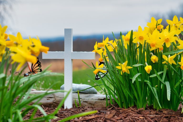 What Are Jesus’ Resurrection Appearances?