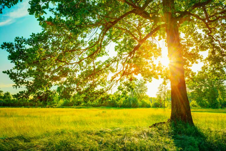 Radiant Faith (1 Thessalonians 1)