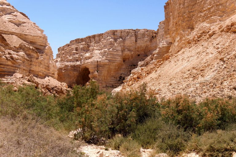 The Call of Moses (Exodus 3)