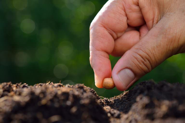 Sowing to the Spirit (Galatians 6)