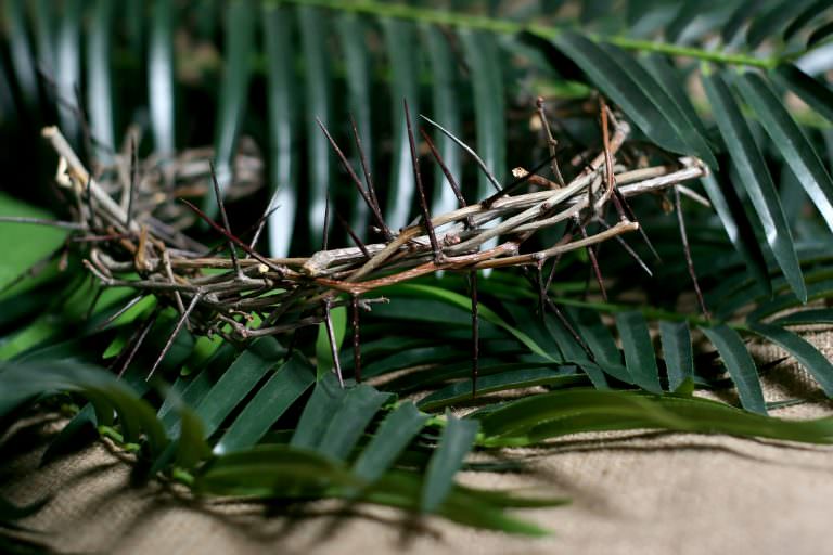 Holy Week, Day 1: Palm Sunday