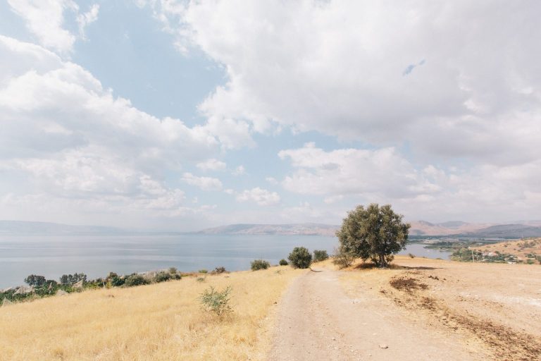 Jesus and the Future: Olivet Discourse