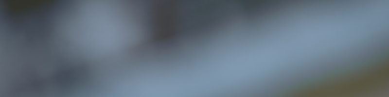 shallow focus photography of white feather dropping in person's hand
