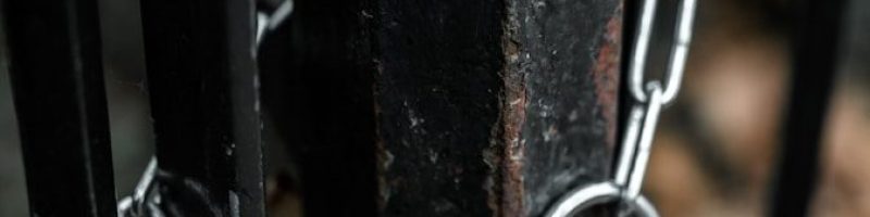 a close-up of a bicycle handlebar