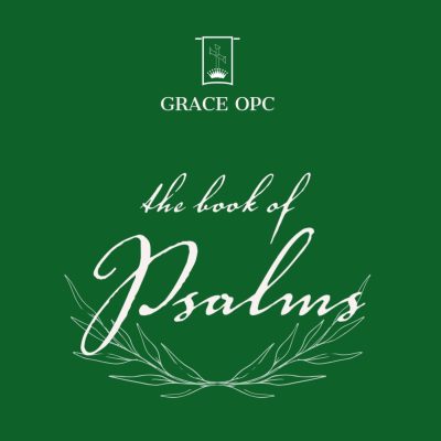 Delighting in the Word