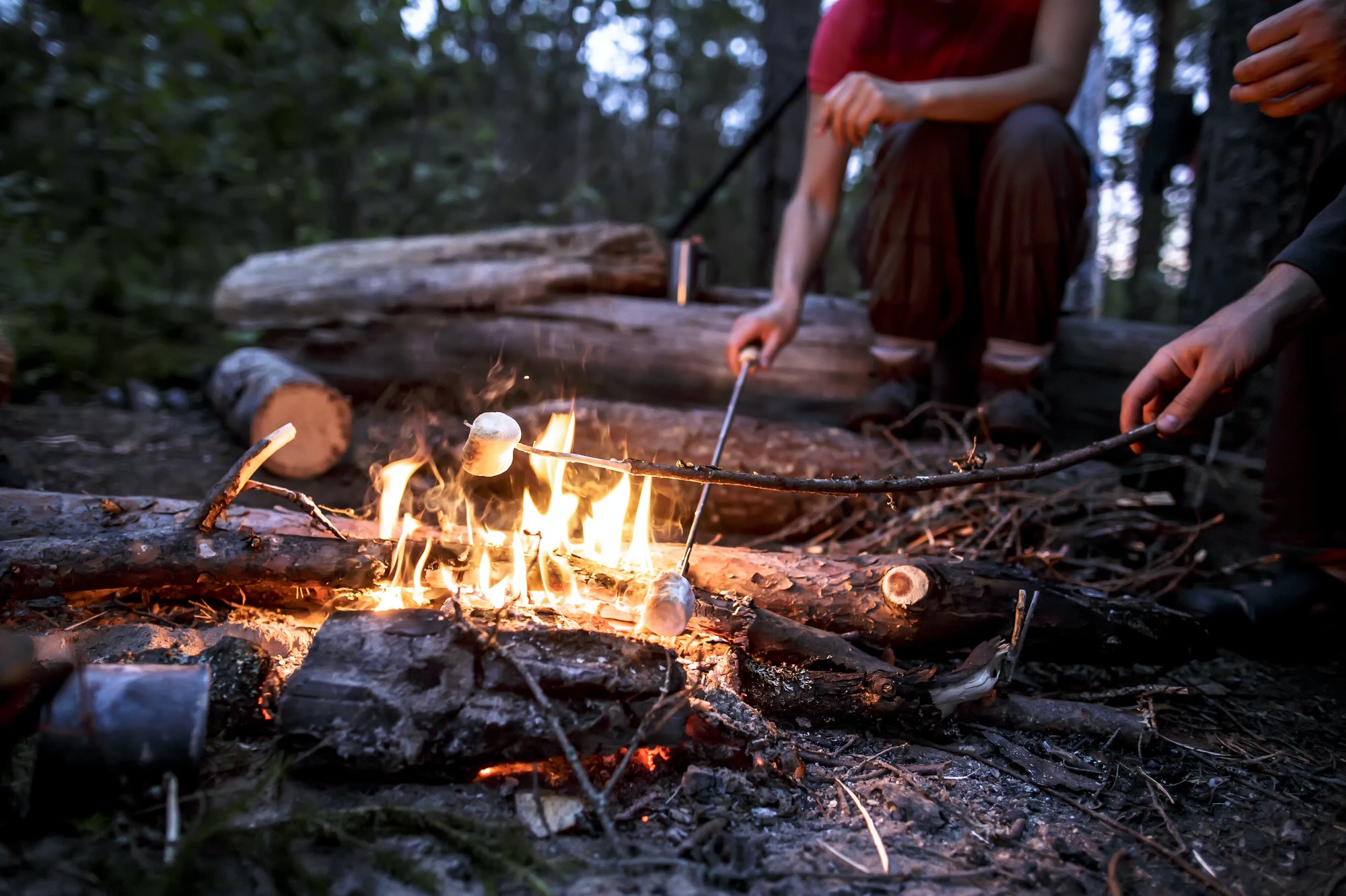 Two people are frying marshmeloo on a summer camp