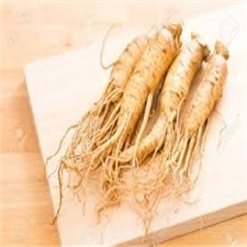 Ginseng