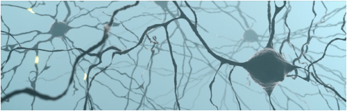 Click display images to see chart