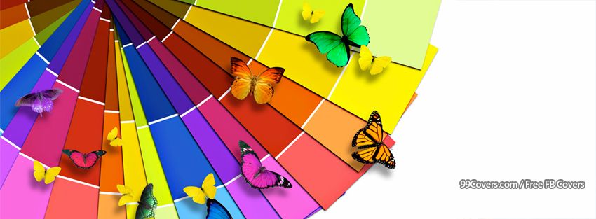 Color Butterfly Images