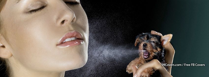 Dog Spray Photos