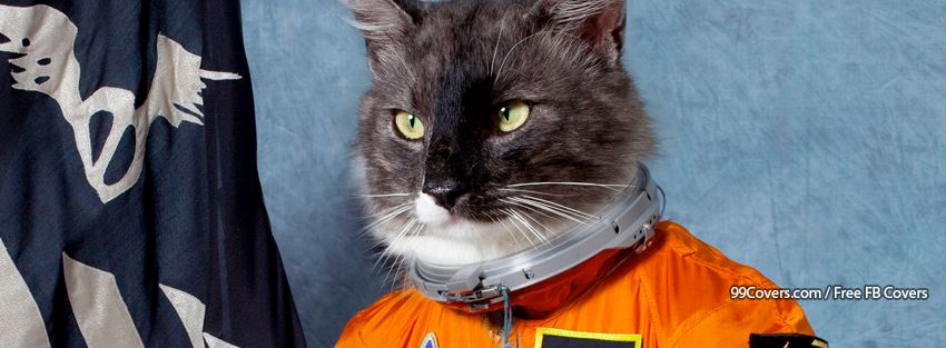 Space Kitty Photos