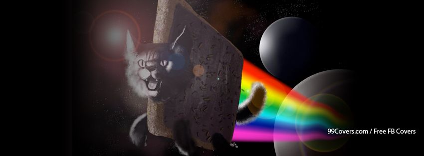 Toaster Strudel Kitty Pictures